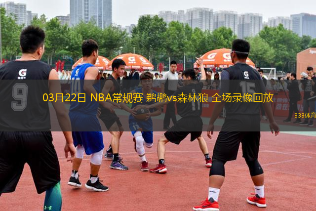03月22日 NBA常規(guī)賽 鵜鶘vs森林狼 全場錄像回放